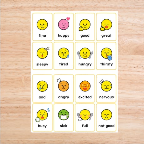 ミニカード〈Feelings Mini Cards 感情・気持ちミニーカード１６種類〉 ２sets