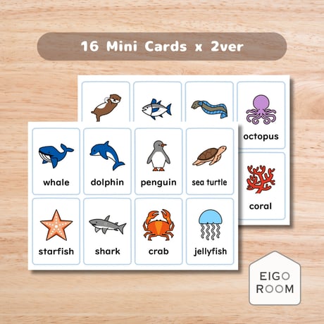 ミニカード〈Sea Animals Mini Cards ミニピクチャーカード〉 １６種類２セット