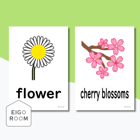 絵カード〈『Here We Go!５』完全対応◎  Nature Flashcards① 自然ピクチャーカード〉 １２pages