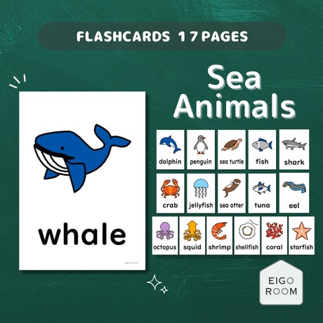 絵カード〈Sea Animals Flashcards 海の生き物ピクチャーカード〉 １７pages