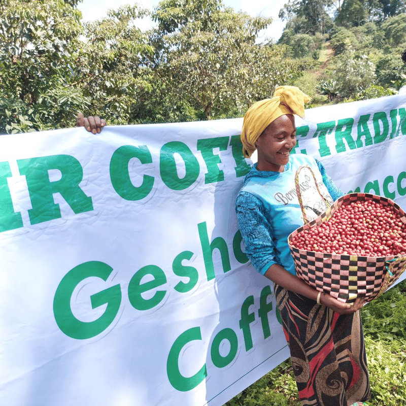 【アフガニスタン産】ジャクエモンティ・コーヒババエンシス（1メス） エチオピア ゲイシャ ジャスミンG1（ナチュラル） 100g〜 | 4BEANS