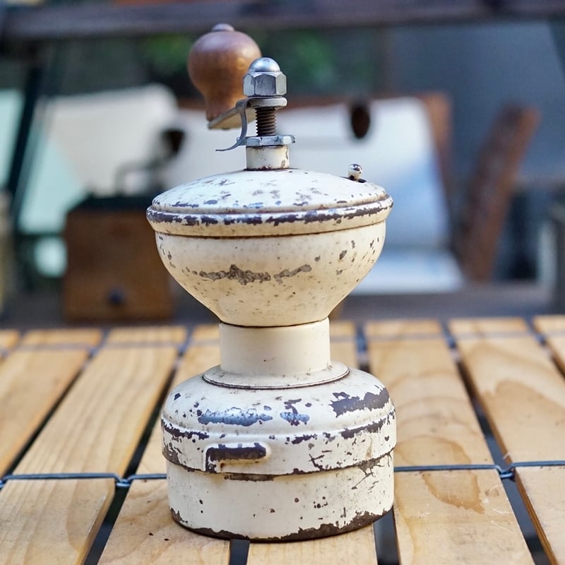 フランス製、 人気のPeugeot 