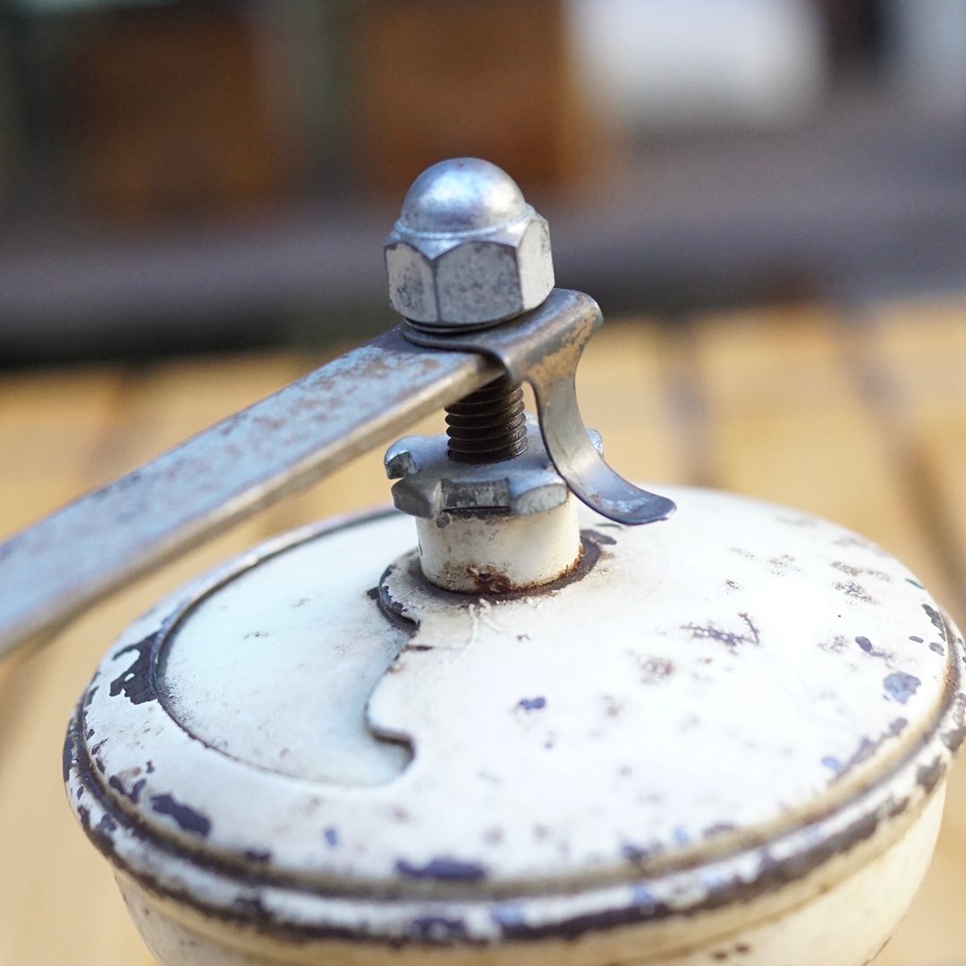 フランス製、 人気のPeugeot 