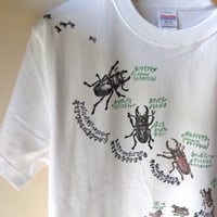 リアルかわいい昆虫Tシャツ　沖縄のクワガタ7種【アダルト・ホワイト】