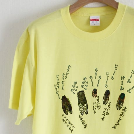 リアルかわいい昆虫Tシャツ　沖縄のセミ５種（アダルトサイズ・お名前入れできます）