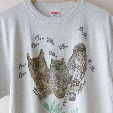 リアルかわいい野鳥Tシャツ　沖縄のフクロウ３種（アダルトサイズ・お名前入れできます）