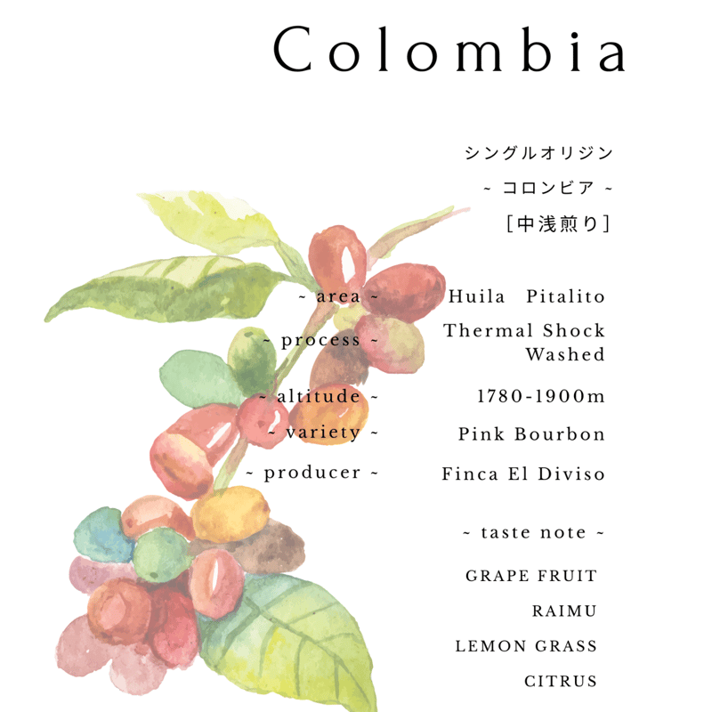コロンビア エルディビソ農園 ピンクブルボン【150g】 | asunone coffee