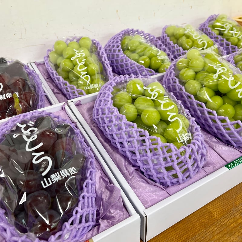 プレミアム】シャインマスカット 1房 | 山中農園SHOP