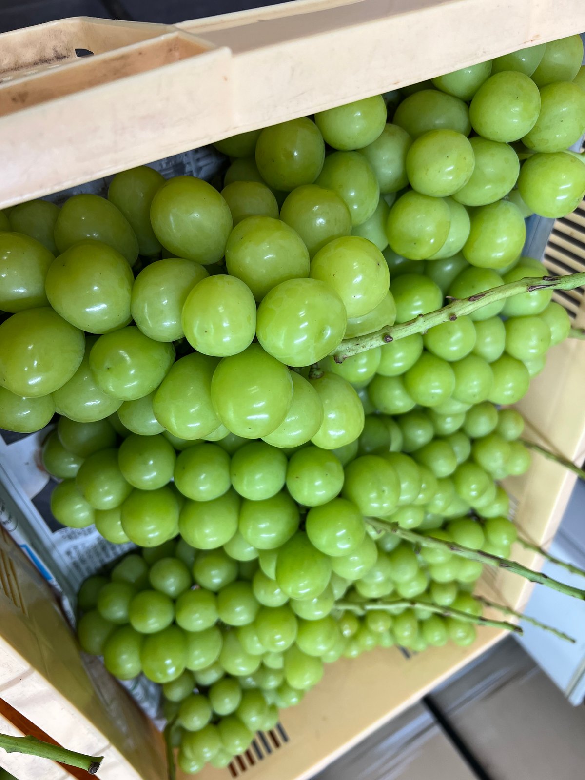 プレミアム】シャインマスカット 1房 | 山中農園SHOP