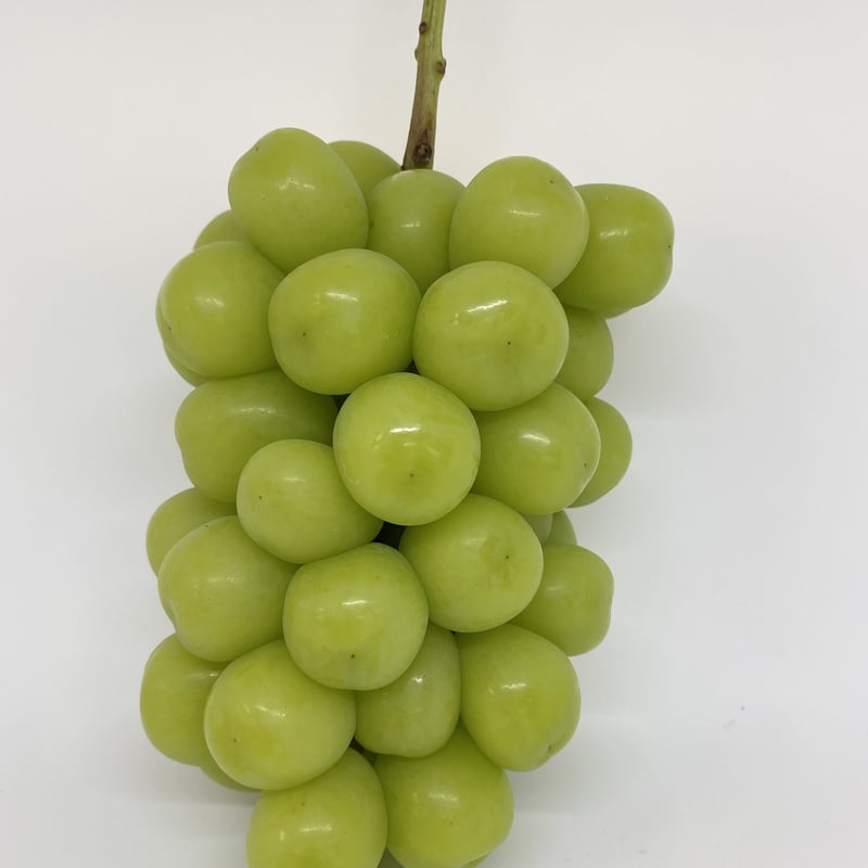 プレミアム】シャインマスカット 1房 | 山中農園SHOP