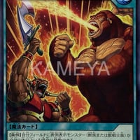 野獣の激怒 (N)