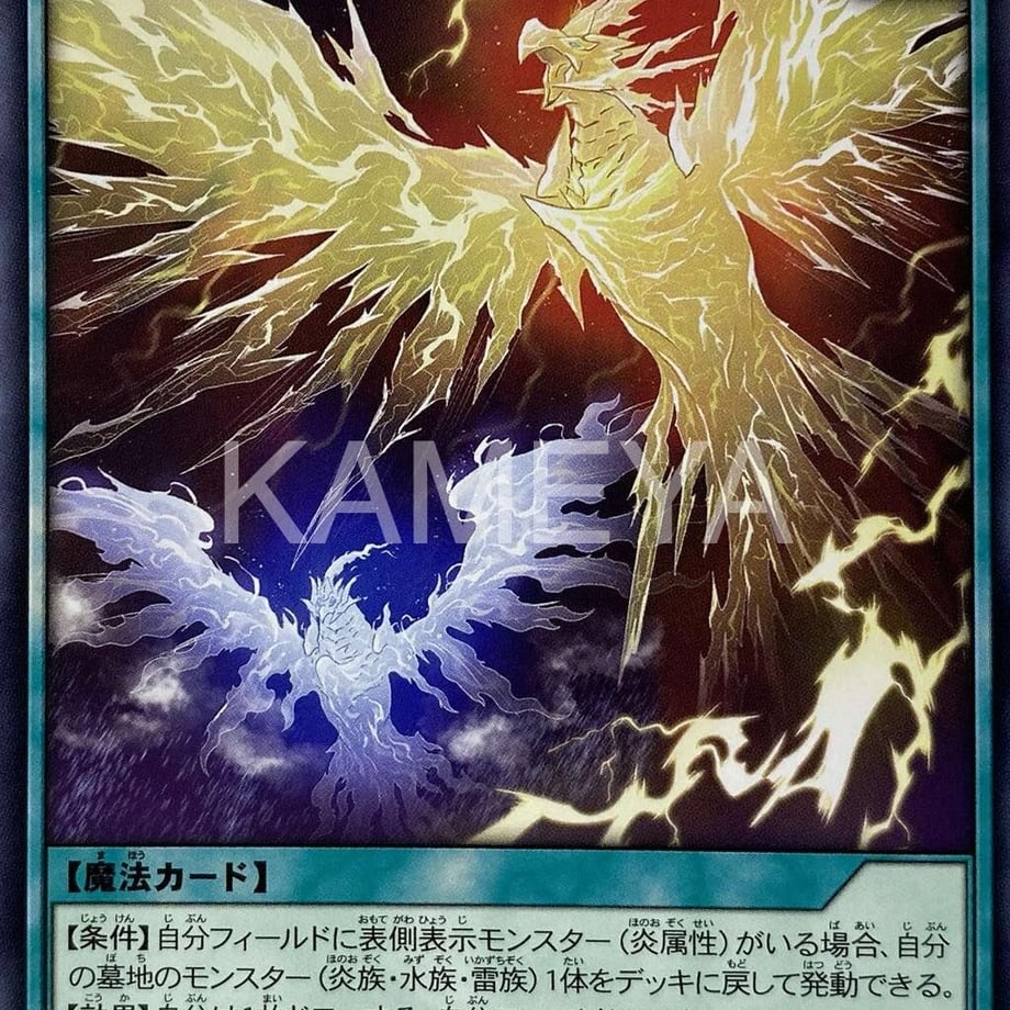 64db595a26a25c00343e6e08