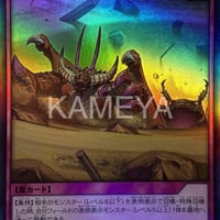 亜竜地獄 (SR)
