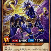 マーチンヴァイナリー (R)