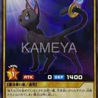 はぐれ使い魔 (N)