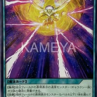 ギャラクティカリパルジョン (N)