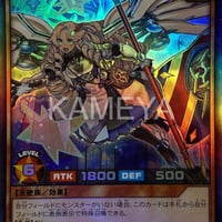 エクスキューティーリュミエル (SR)