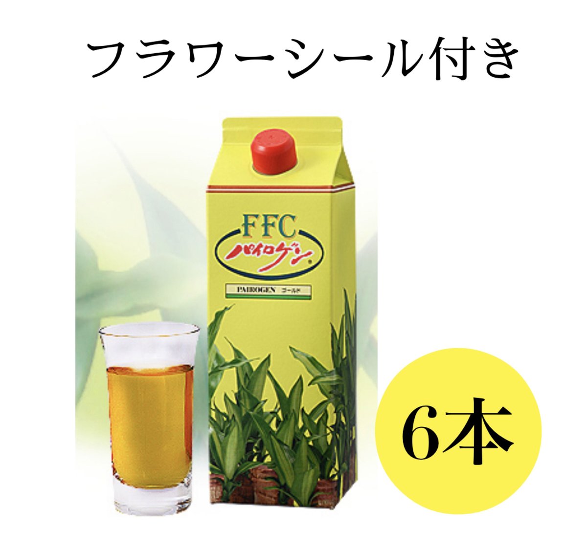 パイロゲン 900ml×6本入 - その他