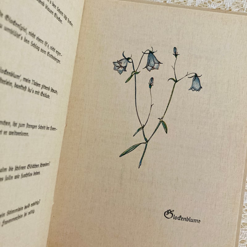 Das sehr kleine Blumenbuch とても小さな花の本 | Lotus Vi