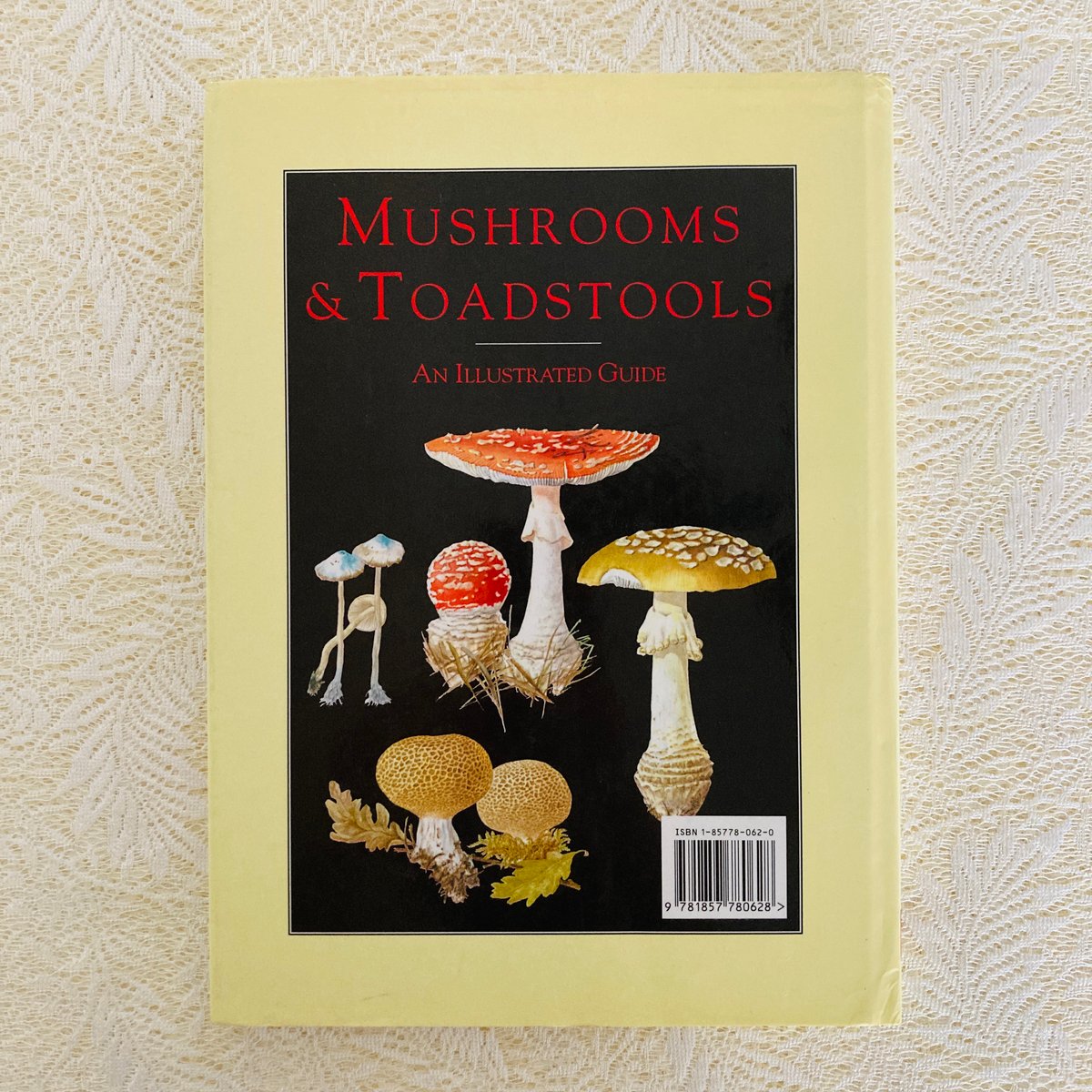 Mushrooms & Toadstools きのこ図鑑 | Lotus Vintage