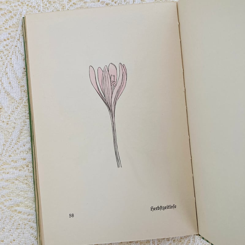 Das kleine Blumenbuch 小さな花の本 (インゼル文庫No. 281) |