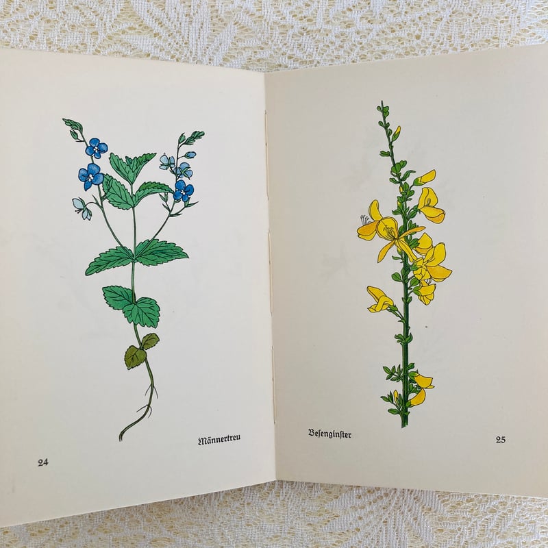 Das kleine Blumenbuch 小さな花の本 (インゼル文庫No. 281) |