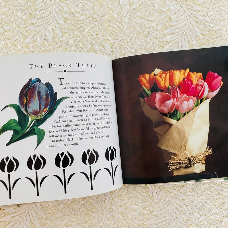 A Treasury of Tulips | Lotus Vintage
