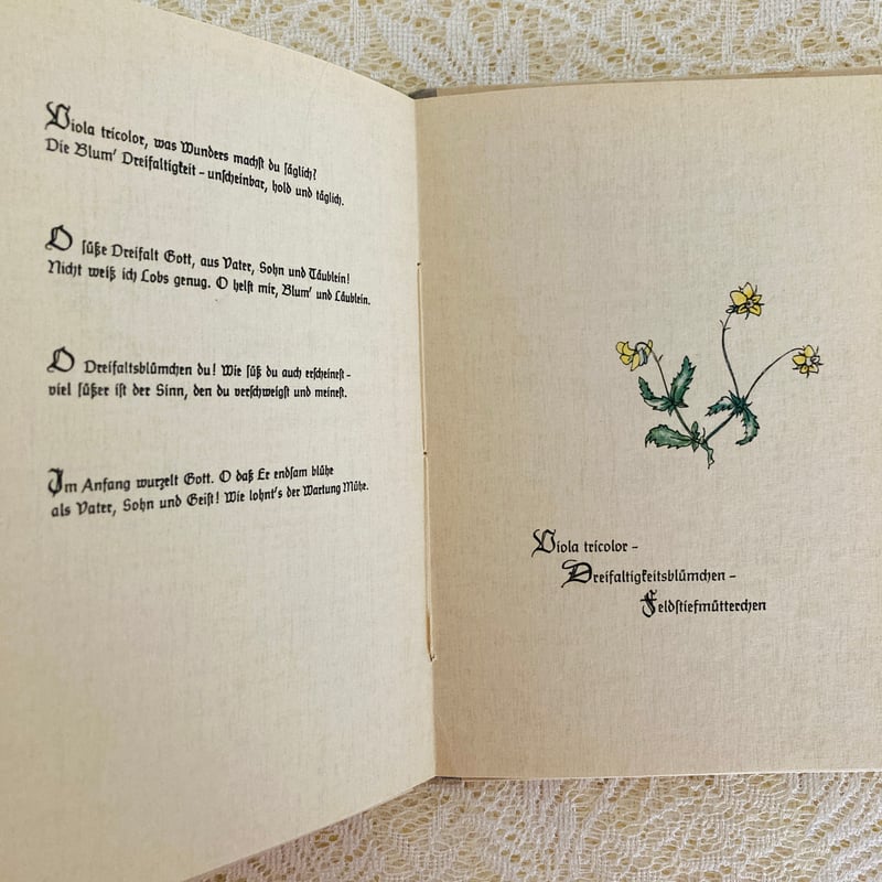Das sehr kleine Blumenbuch とても小さな花の本 | Lotus Vi