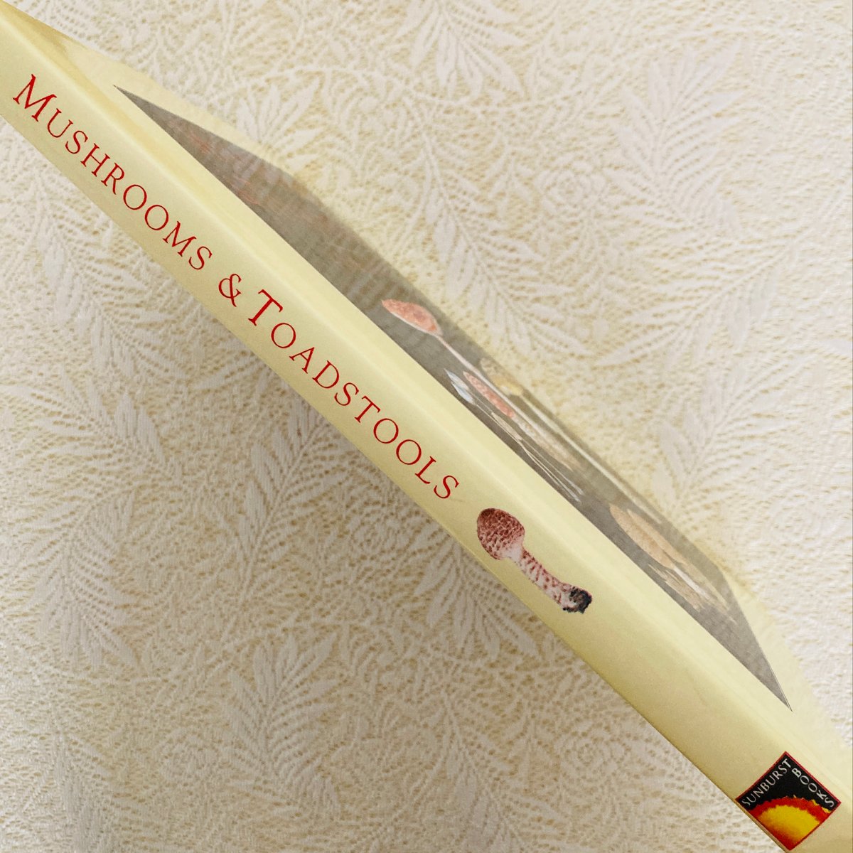 Mushrooms & Toadstools きのこ図鑑 | Lotus Vintage