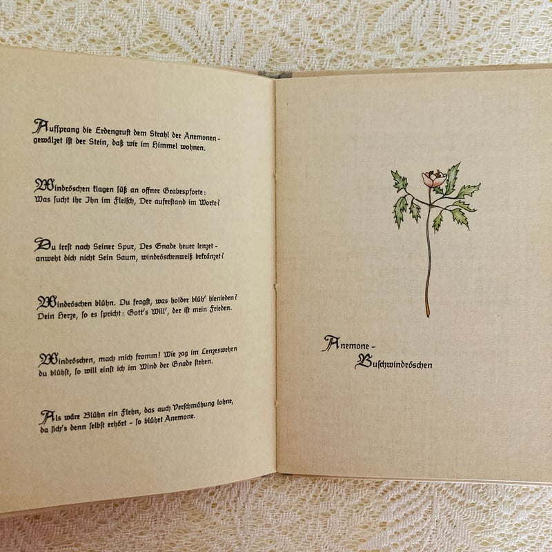Das sehr kleine Blumenbuch とても小さな花の本 | Lotus Vi