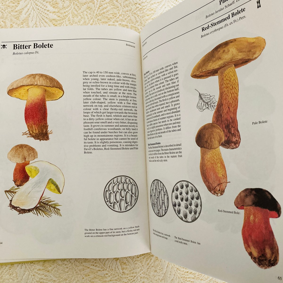 fit=scale-down,w=1200