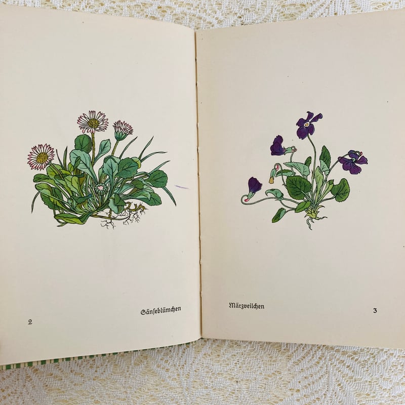 Das kleine Blumenbuch 小さな花の本 (インゼル文庫No. 281) |