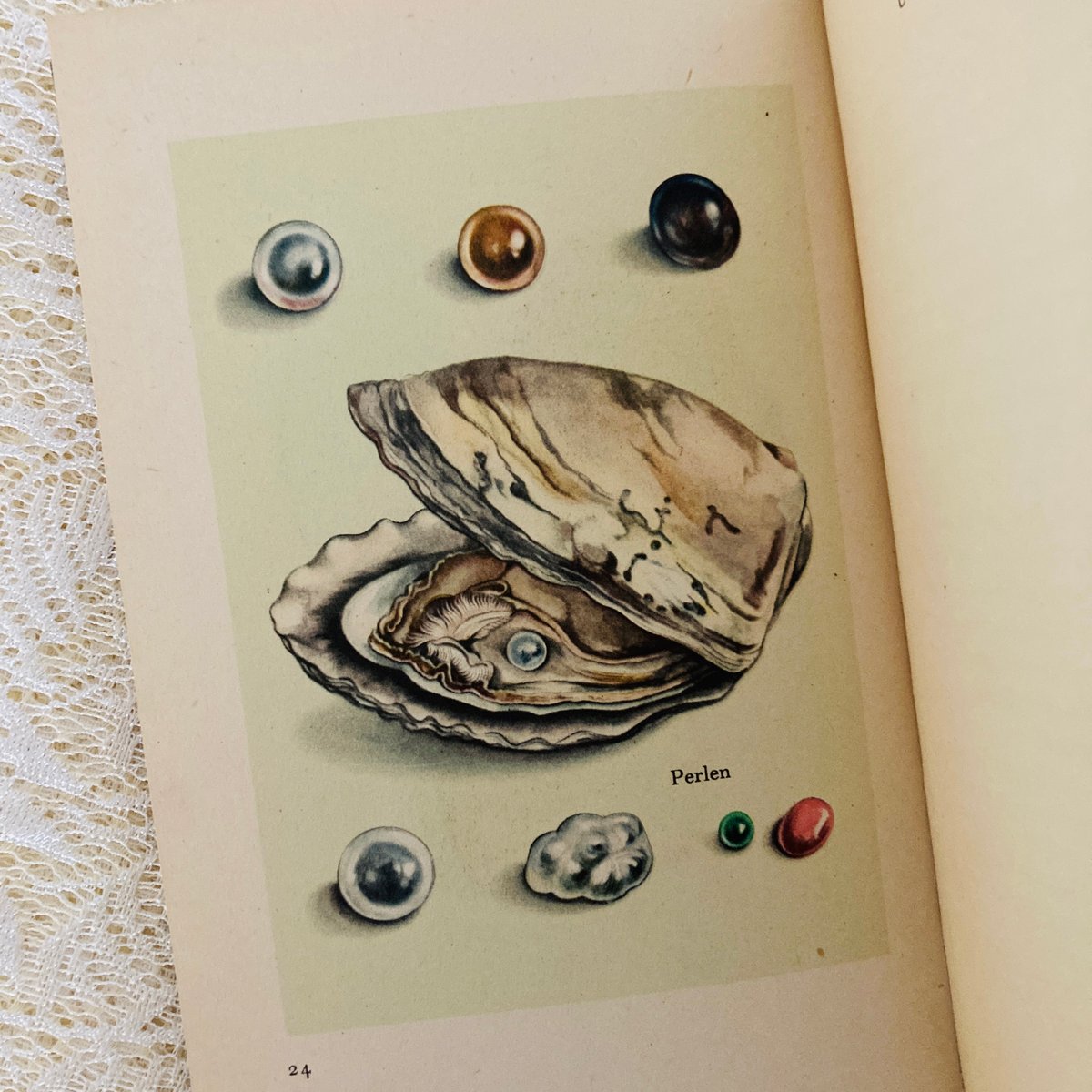 Das kleine Buch der Edelsteine 小さな鉱物の本 (インゼル文庫N Das kleine Buch der Edelsteine 小さな鉱物の本 (インゼル文庫N