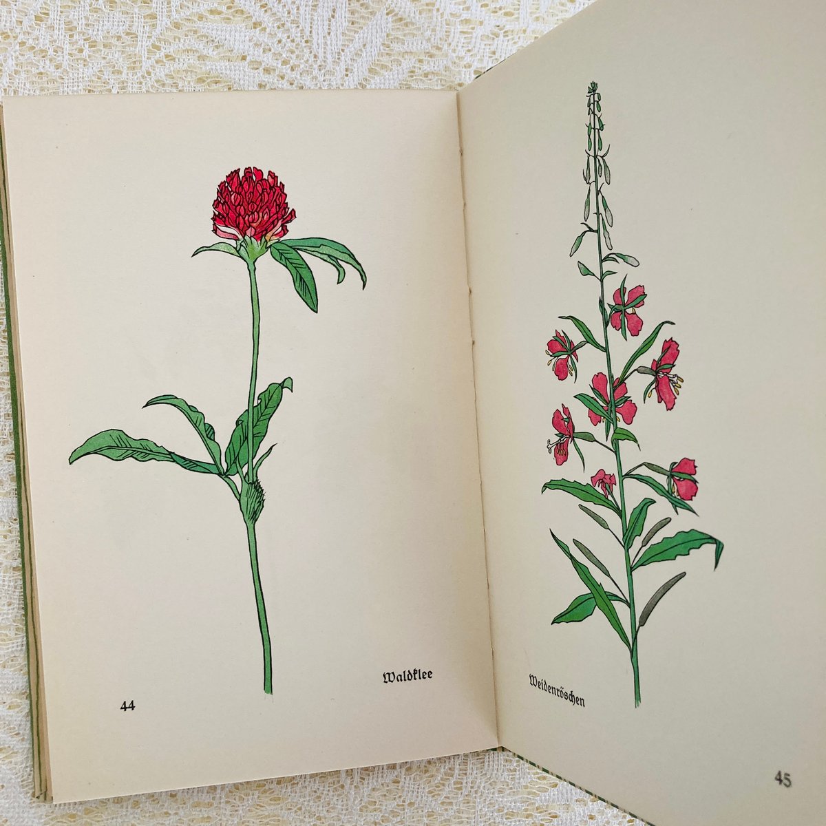 Das kleine Blumenbuch 小さな花の本 (インゼル文庫No. 281) |