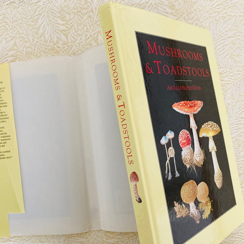 Mushrooms & Toadstools きのこ図鑑 | Lotus Vintage