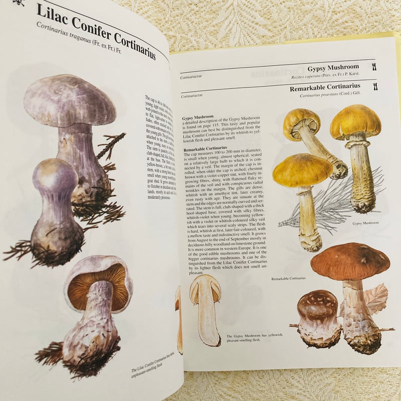 北米キノコ図鑑 英語版 Mushroom専門書 【公式通販】