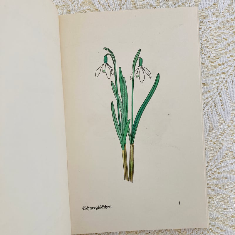 Das kleine Blumenbuch 小さな花の本 (インゼル文庫No. 281) |