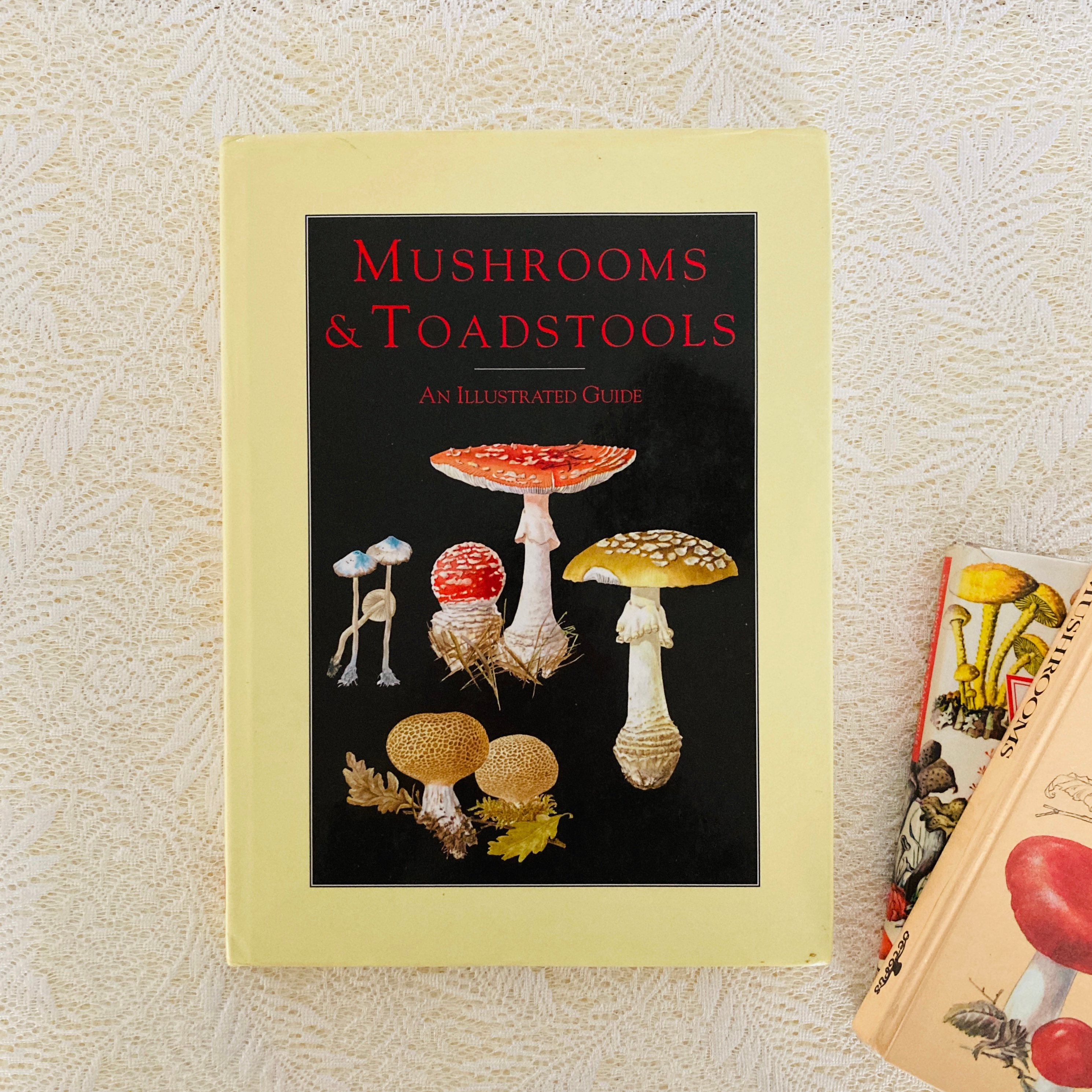 Mushrooms & Toadstools きのこ図鑑 | Lotus Vintage