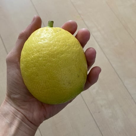 ミラコロ産レモンバターケイク