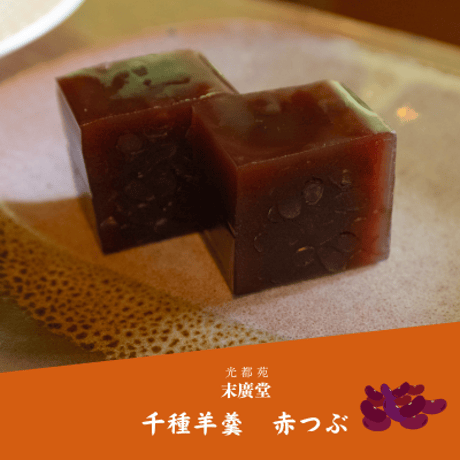千種羊羹 赤つぶ（竹皮）