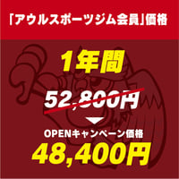アウル会員様限定価格　1年間