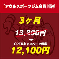 アウル会員様限定価格　3ヶ月