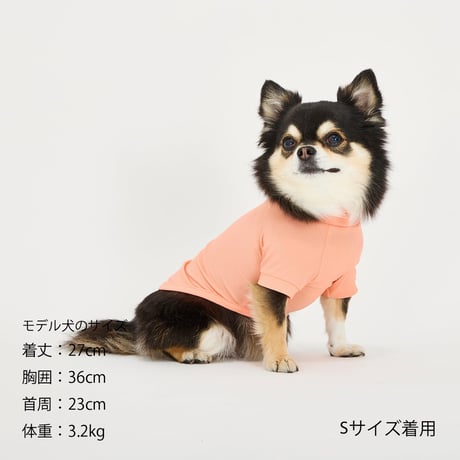 MANDARINE BROTHERS  INSECT SHIELD SKIN TIGHT COOL T-SHIRT  インセクトシールドスキンタイトクールTシャツ LIGHTBLUE