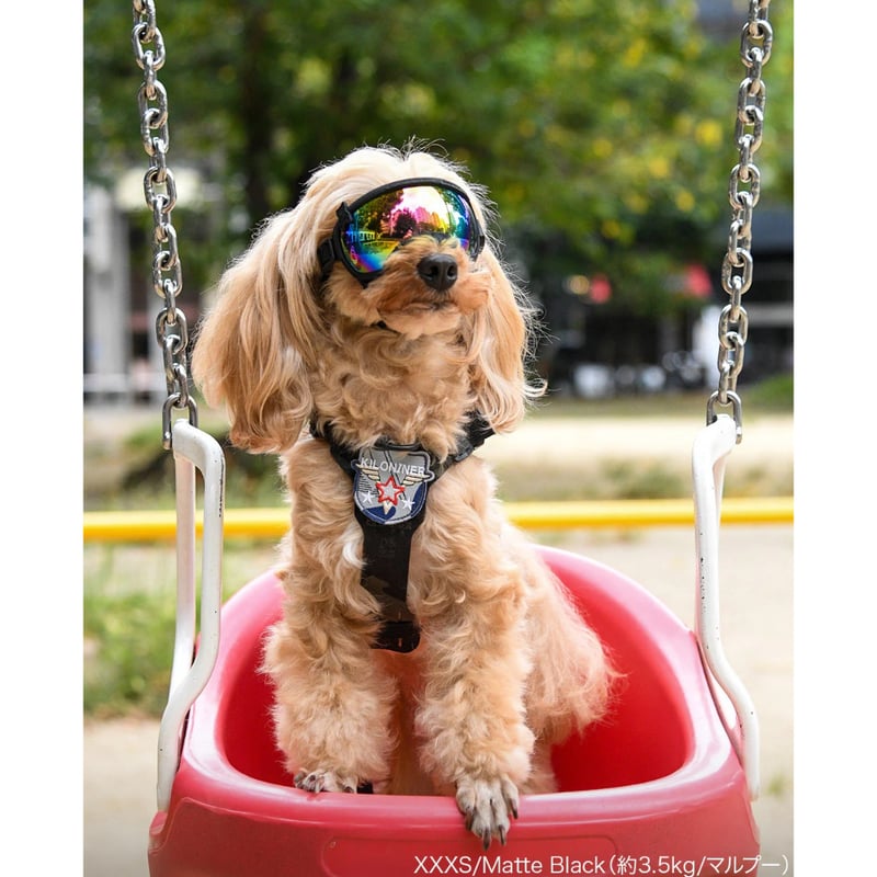 KILONINER(キロナイナー) Signature Goggles 小型犬用ペット用ゴーグ