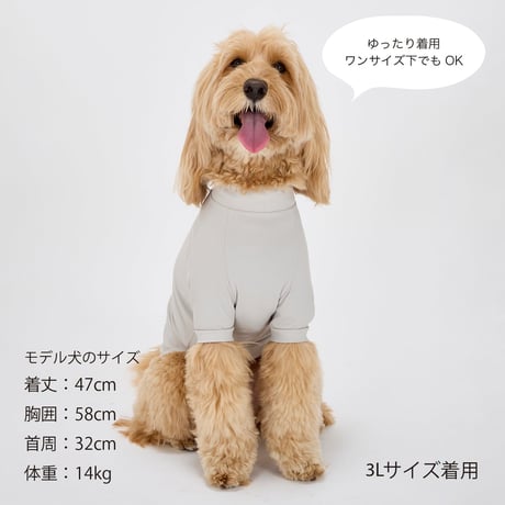 MANDARINE BROTHERS  INSECT SHIELD SKIN TIGHT COOL T-SHIRT  インセクトシールドスキンタイトクールTシャツ LIGHTBLUE