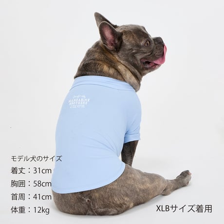 MANDARINE BROTHERS  INSECT SHIELD SKIN TIGHT COOL T-SHIRT  インセクトシールドスキンタイトクールTシャツ LIGHTBLUE