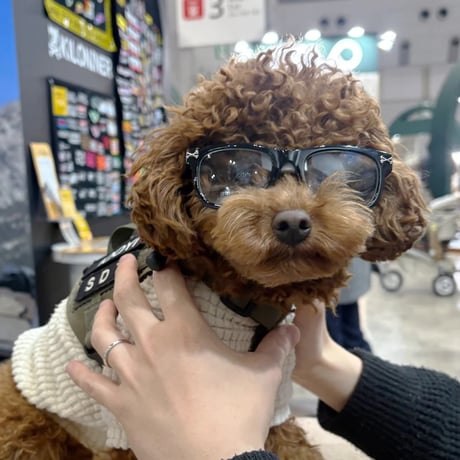 KILONINER (キロナイナー）ライトシフトグラス 犬用調光サングラス