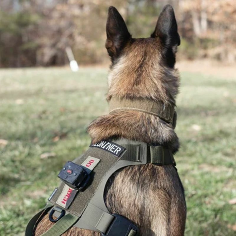 KILONINER（キロナイナー）2023モデル M1 Light Speed Harness