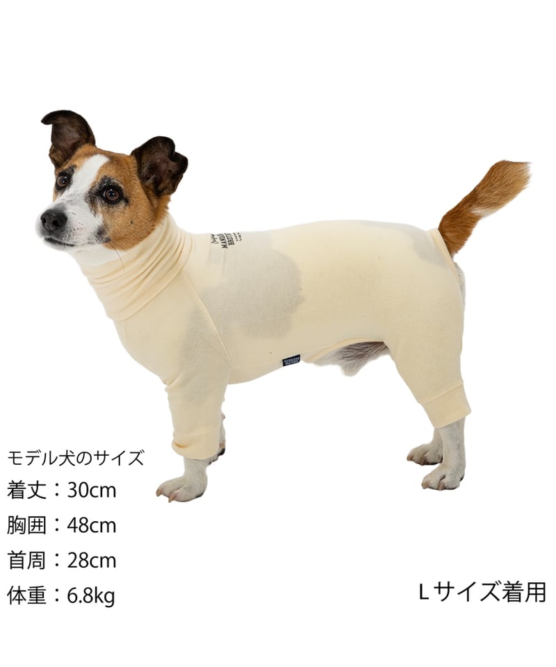 MANDARINE BROTHERS SKIN TIGHT SUITS スキンタイトスーツ MANDARINE BROTHERS SKIN TIGHT SUITS スキンタイトスーツ