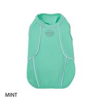 MANDARINE BROTHERS  REFLECTIVE T-SHIRT  リフレクティブTシャツ MINT